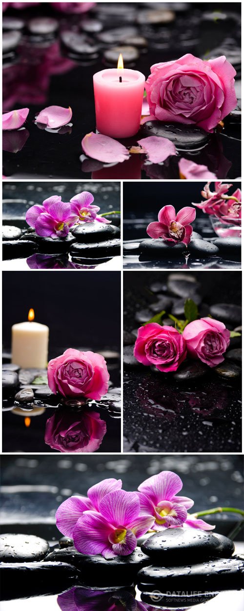 Candles, spa stones, orchids and roses stock photo