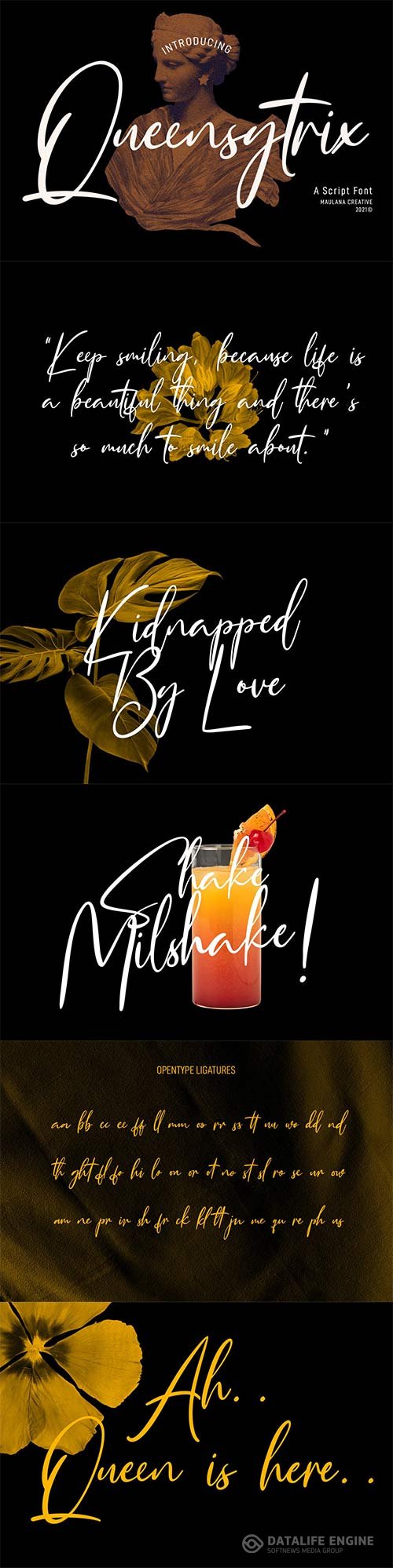 Queensytrix Signature Script Font