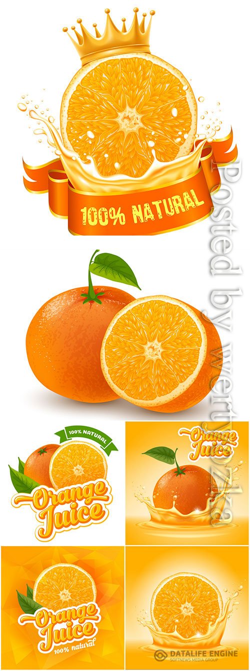 Orange and orange juice in vector