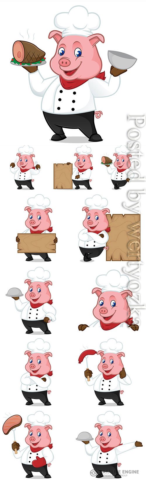 Cartoon pig in a chef costume in vector