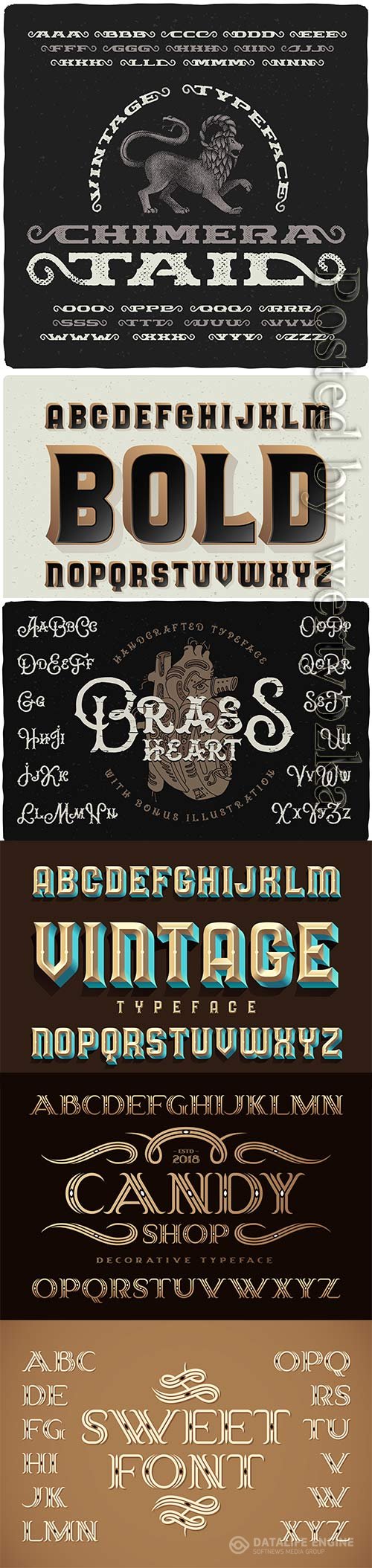 Decorative classic style font vector set