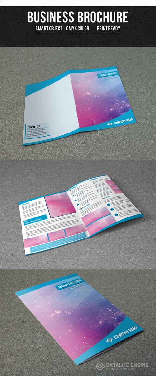 Single Fold Business Brochure with Blue Border Layout 1