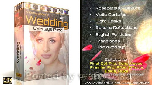 Wedding Overlays Pack