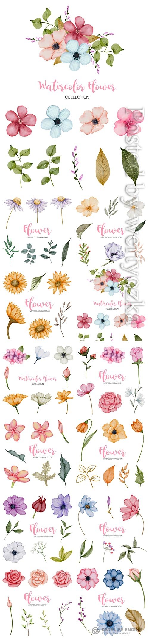 Set of beautiful vector flowers in watercolor style