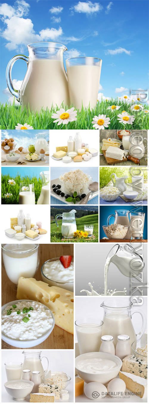 Dairy products on nature background stock photo