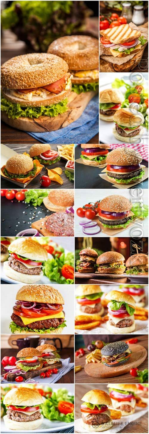 Appetizing burgers stock photo