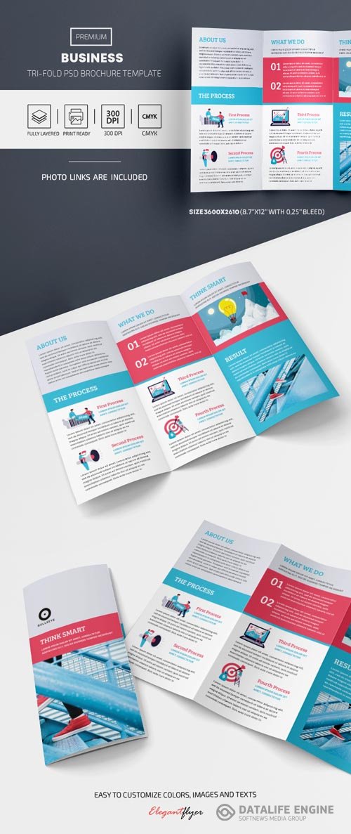 Business Tri Fold Brochure PSD Template