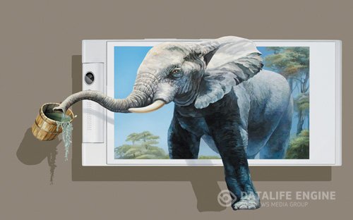 3d embossed elephant out of the background wall painting