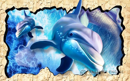 3d dolphins underwater world hole wall custom mural