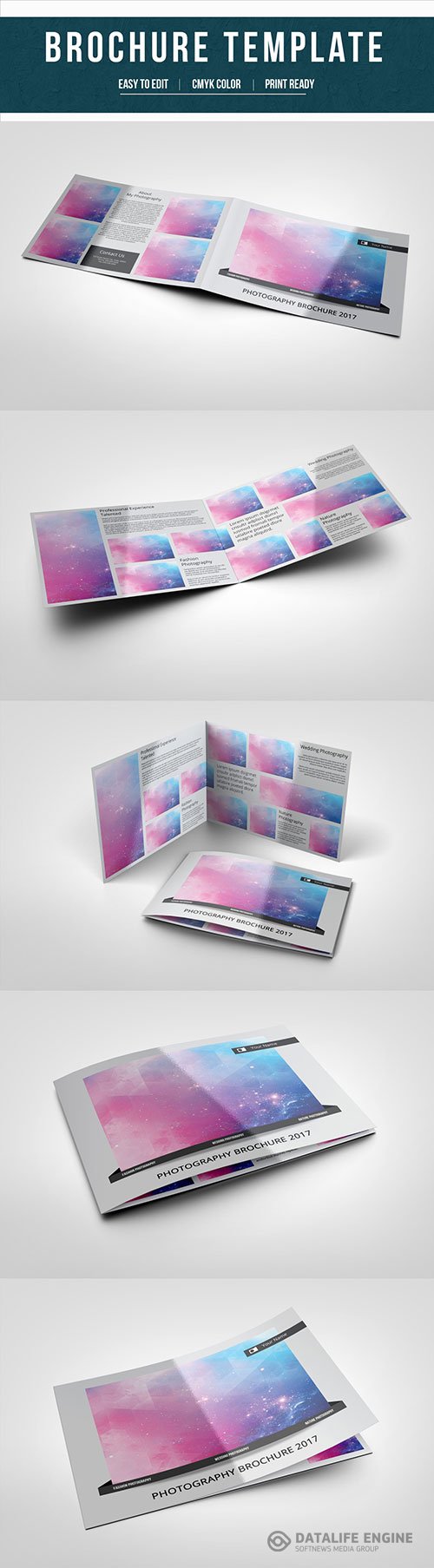 AdobeStock Photography Brochure Layout 3 179868096