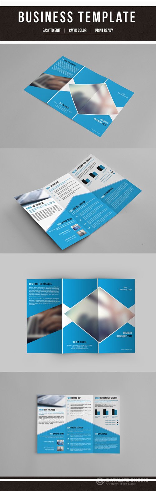 AdobeStock Business Brochure with Blue Accents 207342275