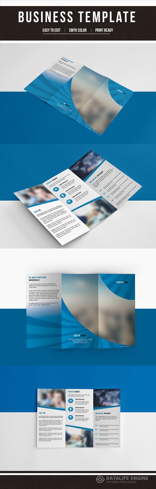 AdobeStock Business Brochure Layout with Blue Accents 210040659