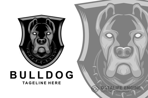 Bulldog shield logo design templates