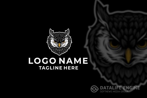 Owl Head Illustration Design