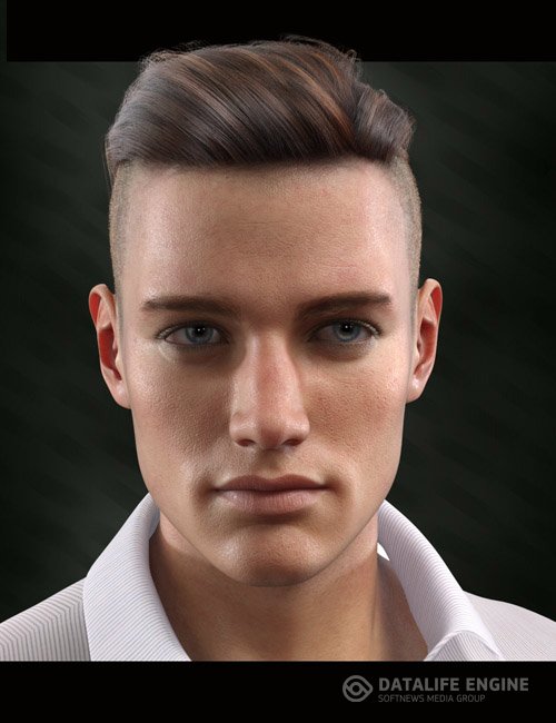 Bold Brows II Merchant Resource for Genesis 8 and 8.1 Males