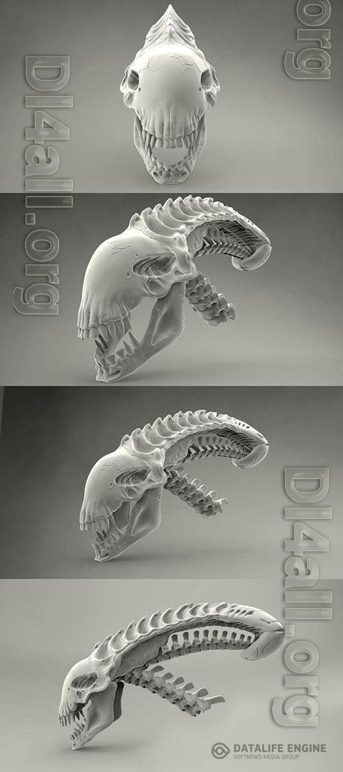 3D Print Models Alien Skull