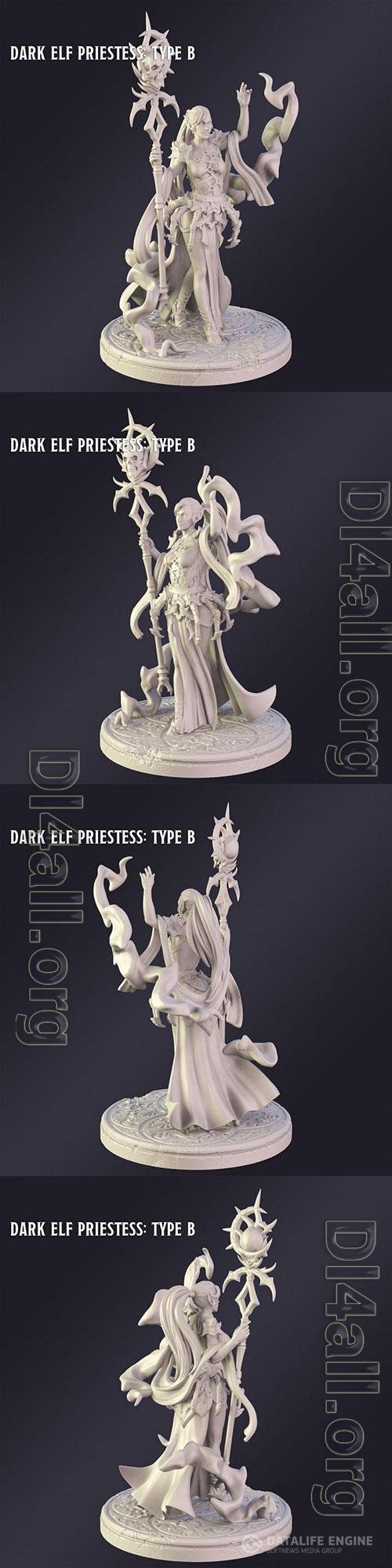 3D Print Models Dark Elf Priestes Type B