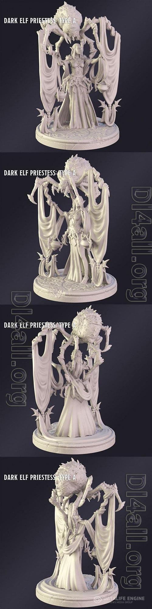 3D Print Models Dark Elf Priestes Type A