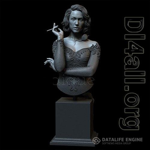 3D Print Models Z-world