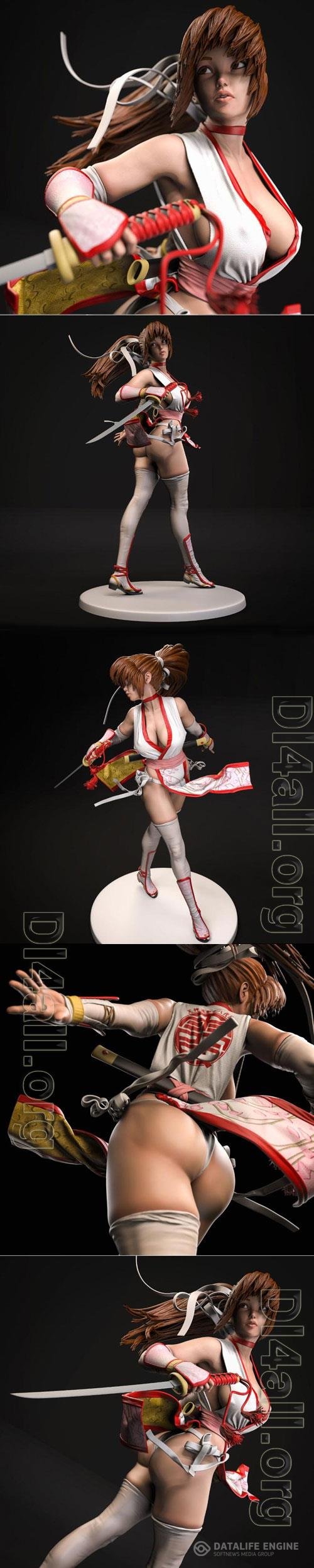 Kasumi - Dead Of Alive 3D STL