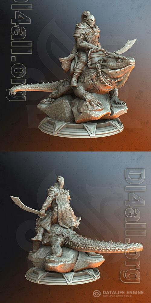 Lizard Rider - Dreytin 3D Print