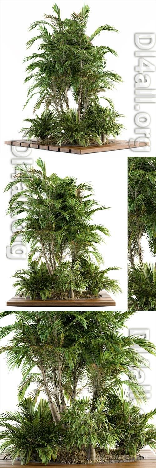 Garden set Tropical bush and Tree - Garden Set 05 3D Model