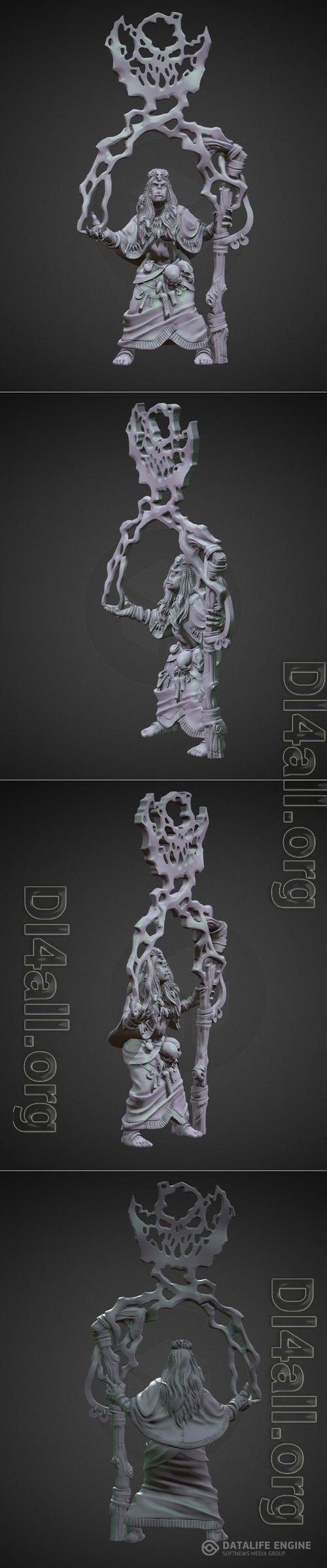 Thunder Shaman Orc Female 3D Print