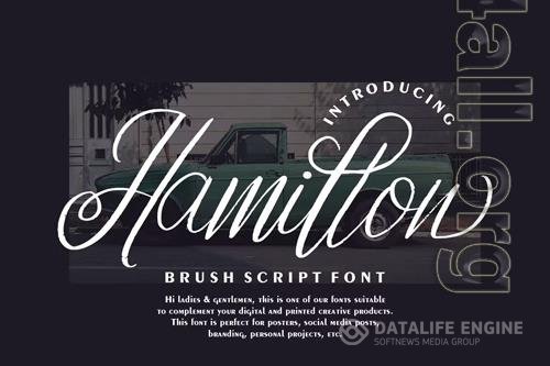 Hamillon Brush Script Font OTF