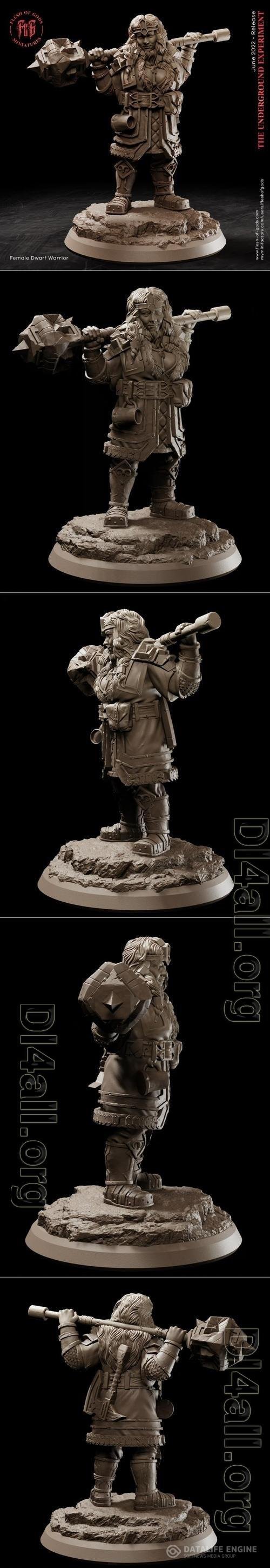 Hero Female Dwarf 3D Print