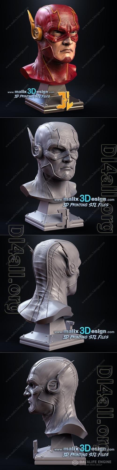 Flash Bust 3D Print