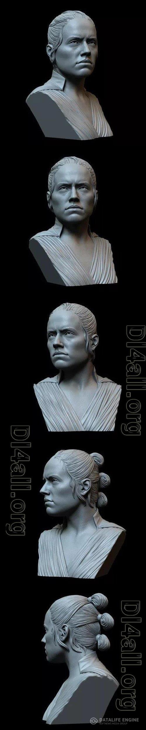 Rey 3D Print