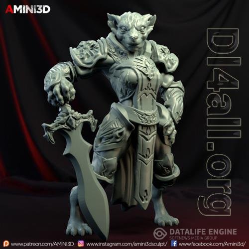 Tabaxi Paladin Female 3D Print