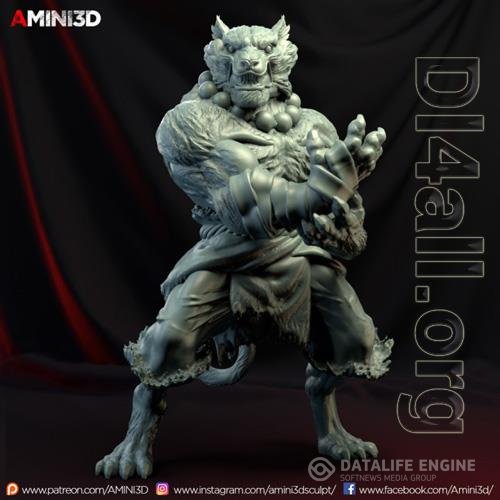 Tabaxi Monk Male 3D Print