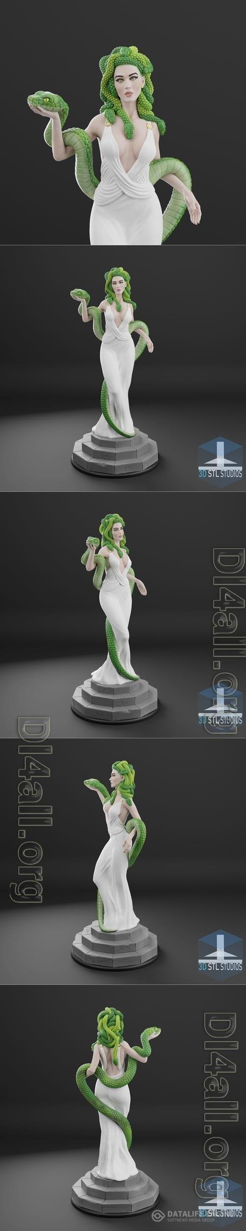 3D Stl studio - Medusa 3D Print