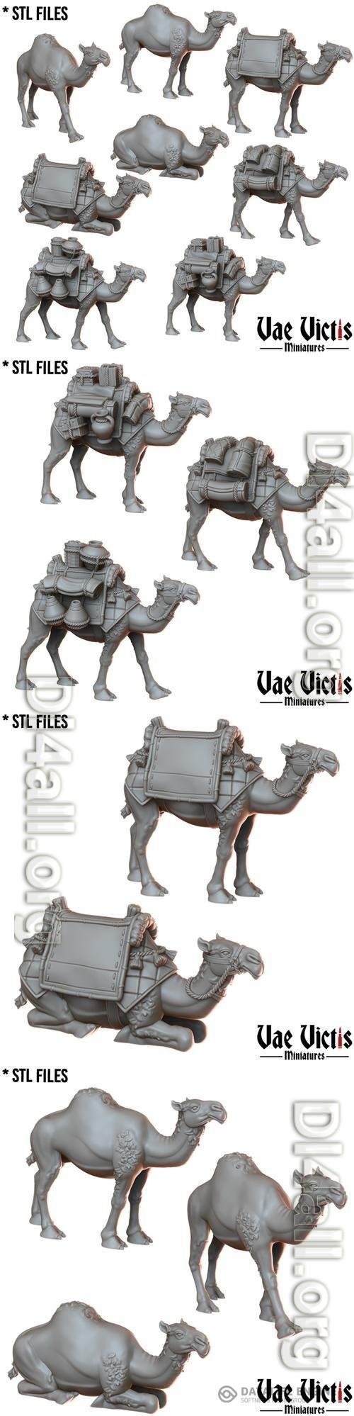 Vae Victis Miniatures - Camels 3D Print