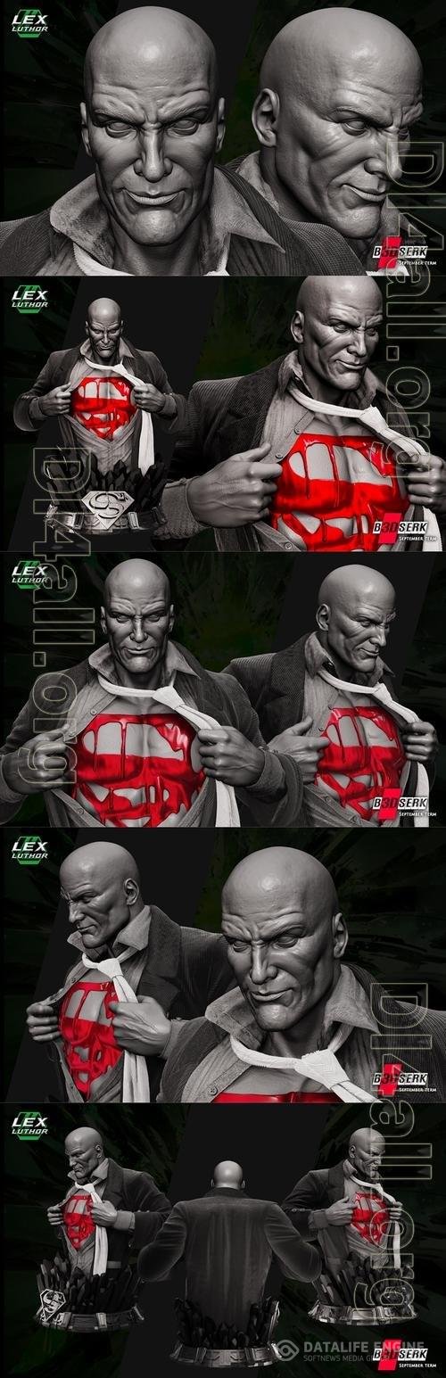 B3DSERK - Lex Luthor Bust 3D Print