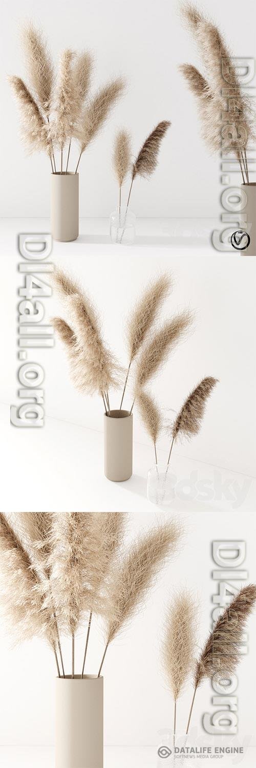 Set of Pampas grass in Vase 3D Models