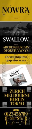 Modern Luxury Serif Font [OTF]