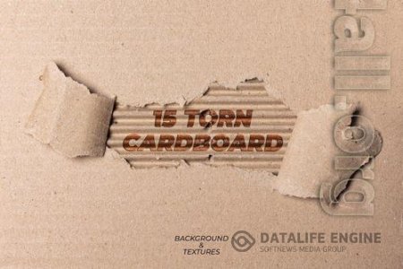 15 Torn Cardboard Paper Background Texture