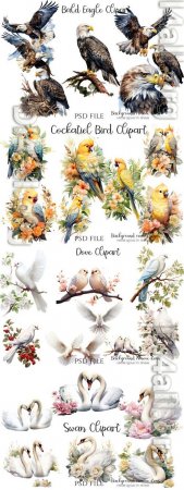 Swan, parrots, pigeons, two birds with words love, cockatiel bird, bald eagles bird - PSD illustration cliparts set